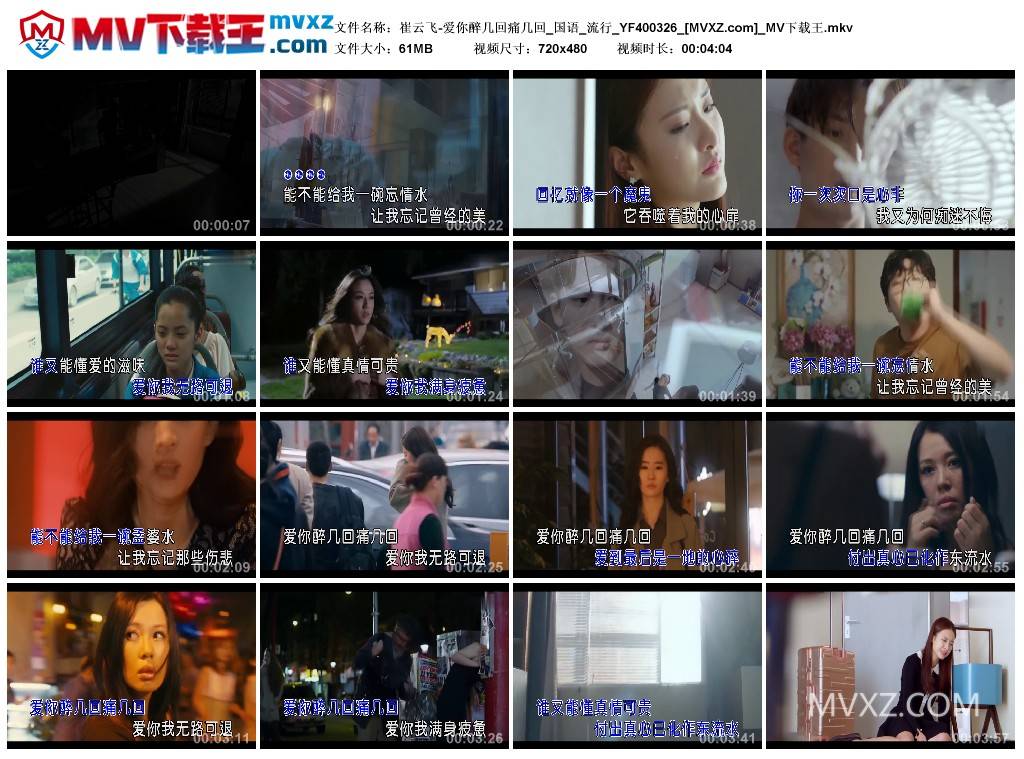 崔云飞-爱你醉几回痛几回_国语_流行_YF400326